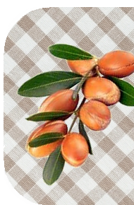 : Argan olaj