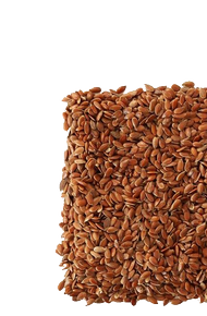 Lenmagolaj