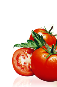 Gazpacho (hideg paradicsomleves)