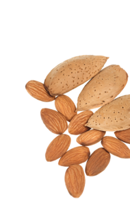 Amaretto