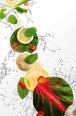 Recept kalendárium: 2015-03