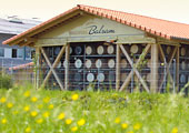Balzsamecetek